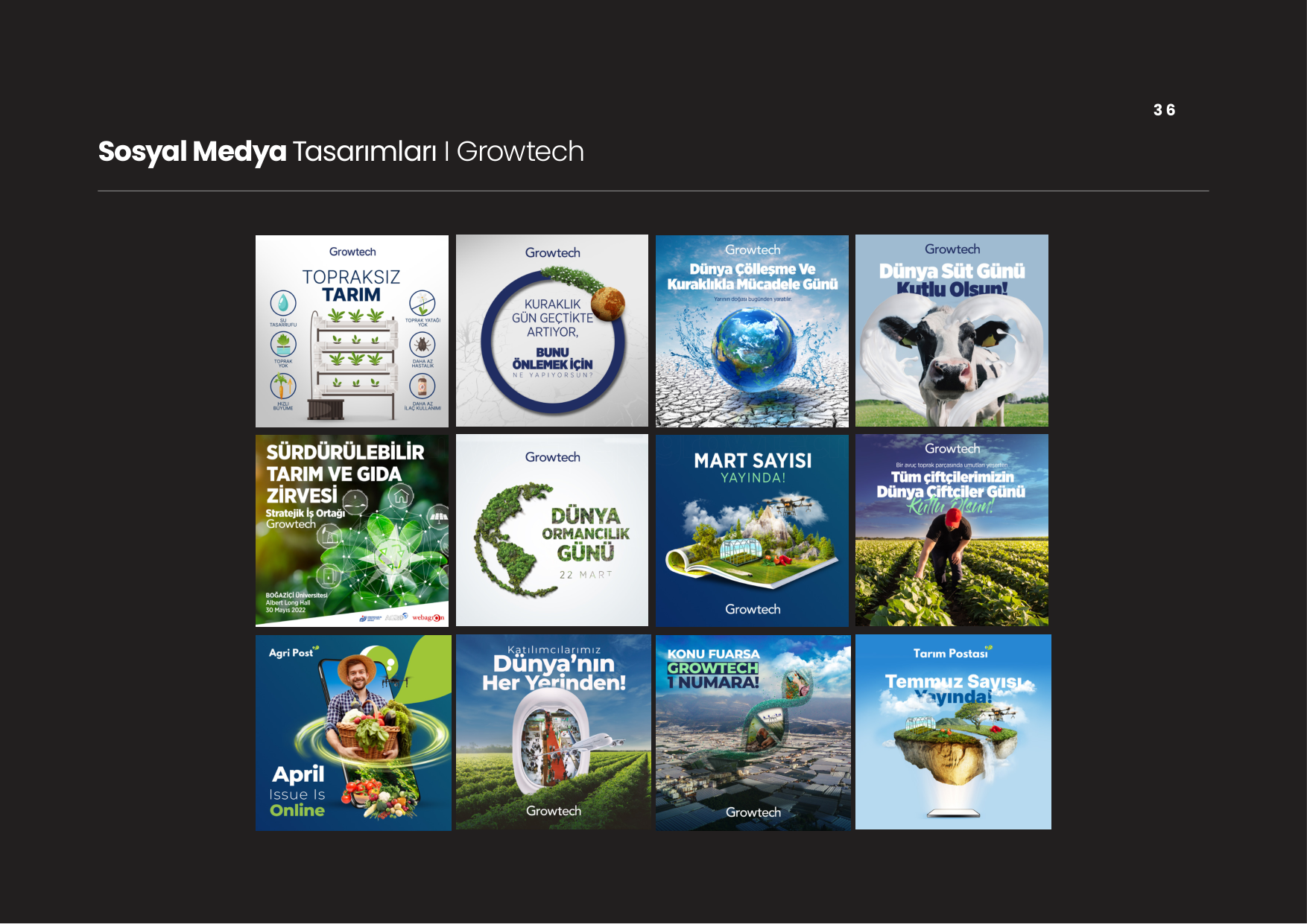 Antigone Media Strategic Branding 34